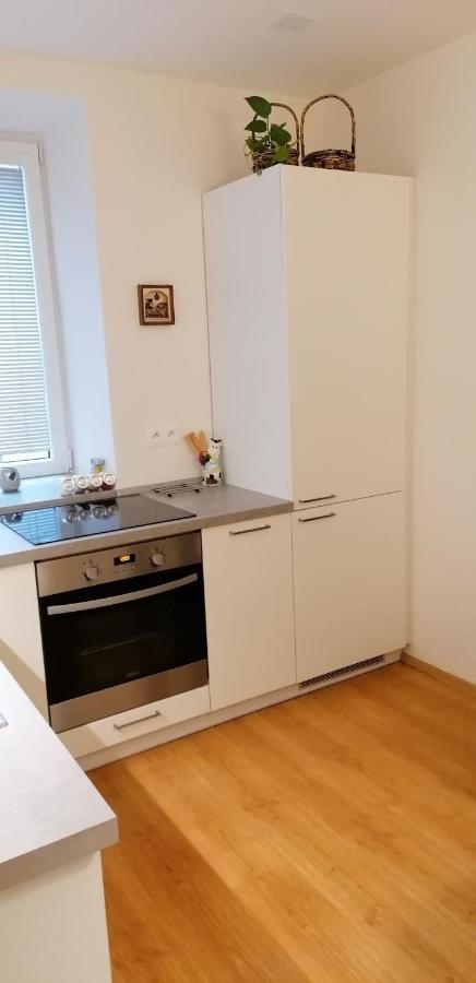 apartmán U Moravy Olomouc Esterno foto